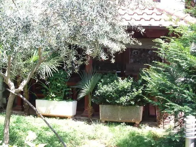 Mira